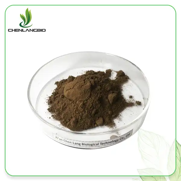 Schisandra Extract Powder Schisandra Extract Powder